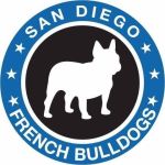 San Diego French Bulldogs